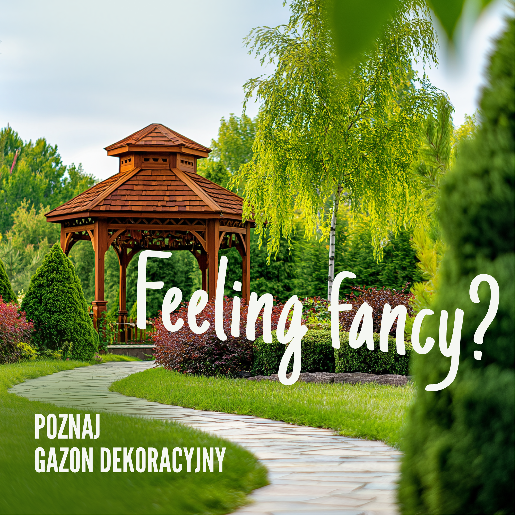 NTZI-nowe-opakowania-12.png
